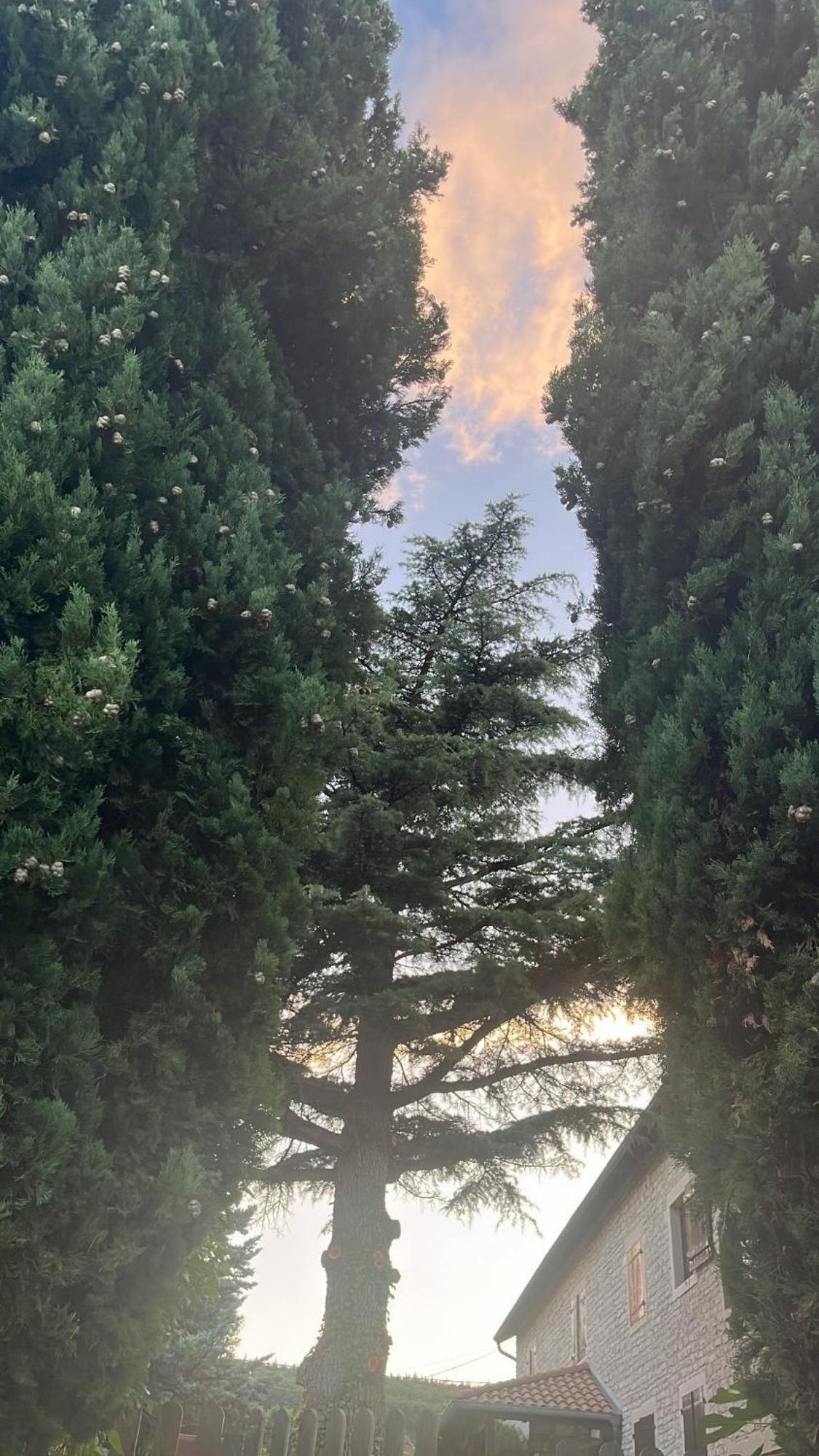 Domaine Bassy Otel Saint-Gengoux-de-Scissé Dış mekan fotoğraf